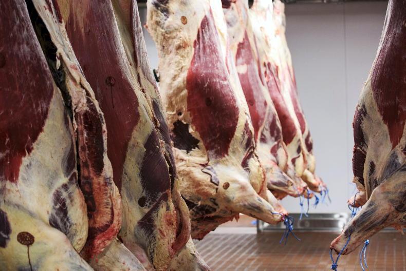 Beef finisher frustration building - Vimarsana News