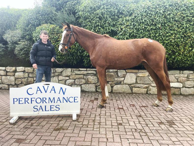 Cavan performance sale