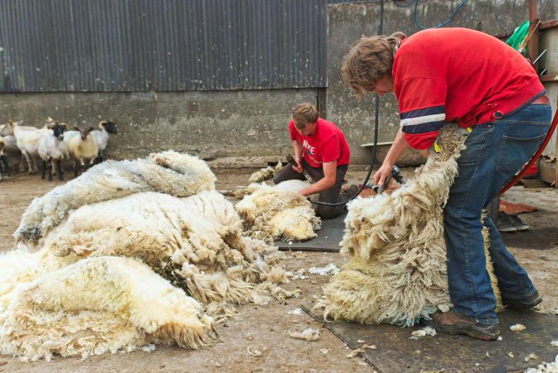 Minister Hackett 'gone silent' on wool issue – IFA 10 October 2022 Free - Vimarsana News