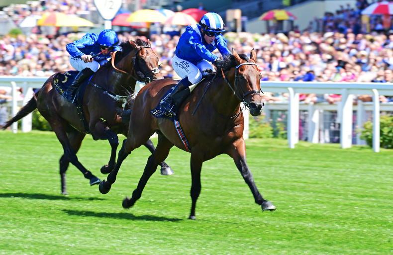 Baaeed out to emulate Frankel in career swansong at Ascot - Vimarsana News