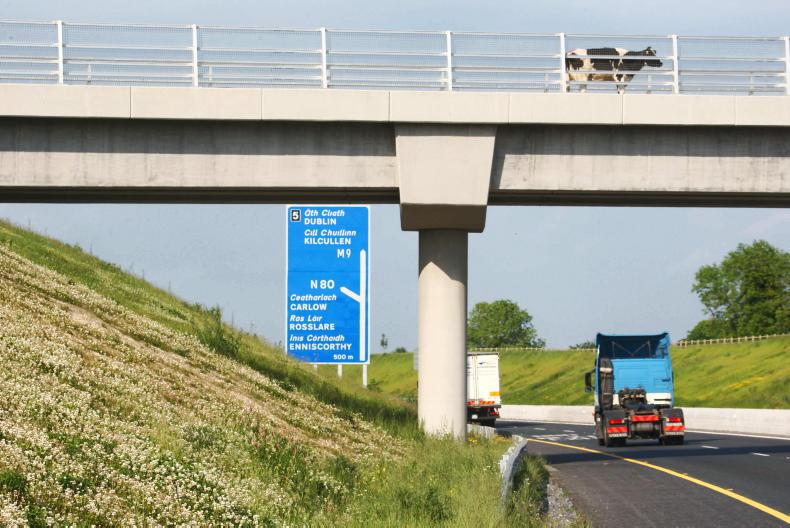 Colm McCarthy: why green diesel shouldn't bear road tax burden 12 October 2022 Premium - Vimarsana News