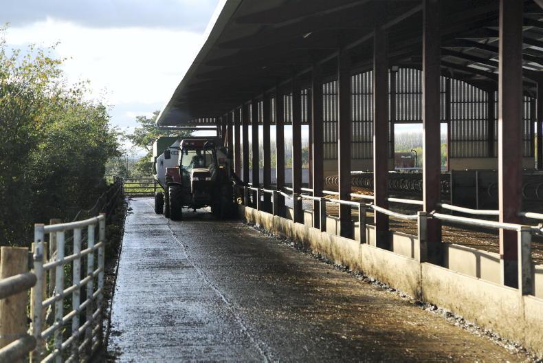 Improving feed efficiency this winter - Vimarsana News