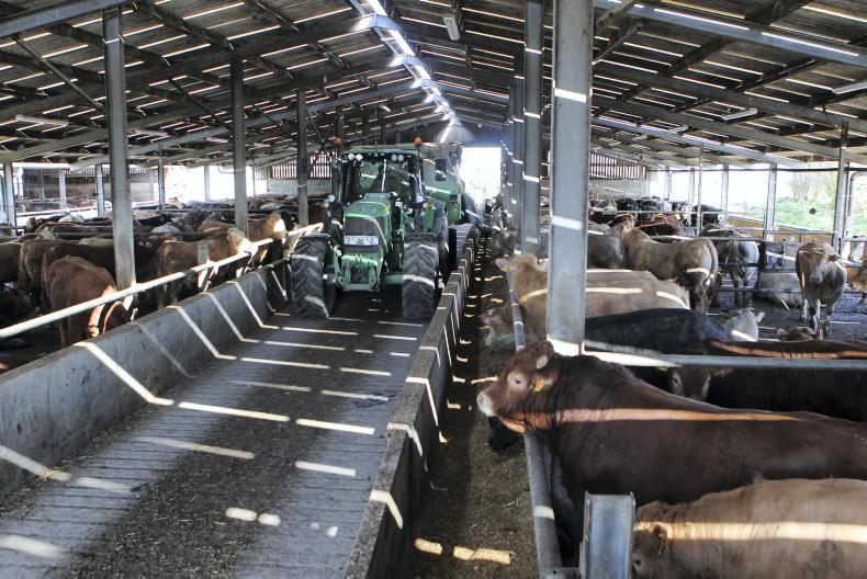 Dairy duos continue to grow     