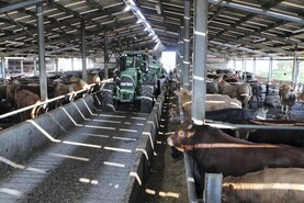 Dairy duos continue to grow Dairy duos continue to grow