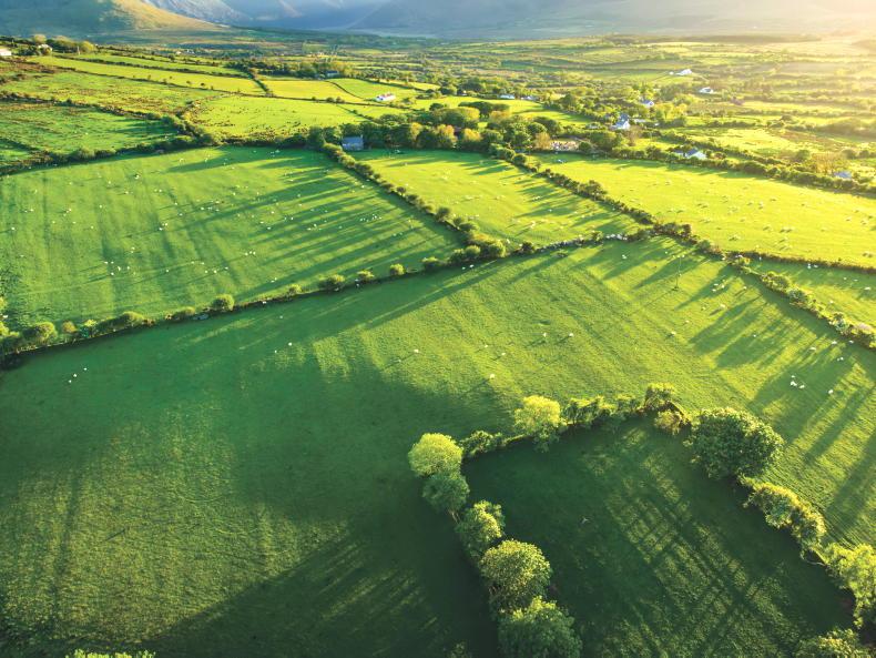 Rural crime prevention and wellbeing webinars get under way - Vimarsana News