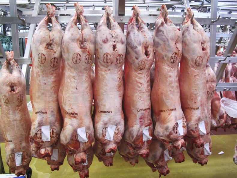 Sheep Trends: factories holding firm on price