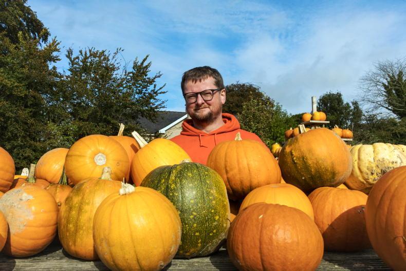 Bringing Halloween back home to Ireland from the US