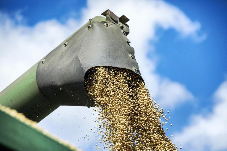 Robust figures needed on Irish grain’s footprint