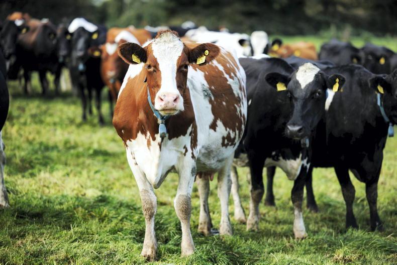 What's contained in the Food Vision dairy report? 02 November 2022 Free - Vimarsana News