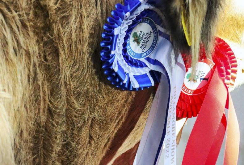 Altamont Pennyhill tops Irish Aubrac Premier show and sale at €4,150 - Vimarsana News