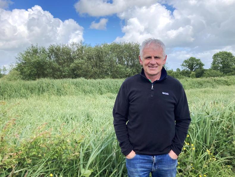 Limerick dairy farmer scoops Farming for Nature award - Vimarsana News