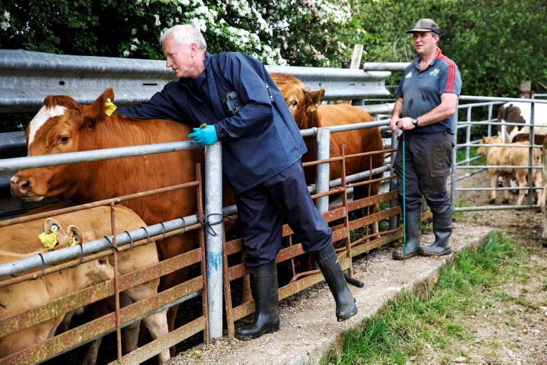 Failure of TB eradication strategy leaves farmers as biggest losers - IFA - Vimarsana News