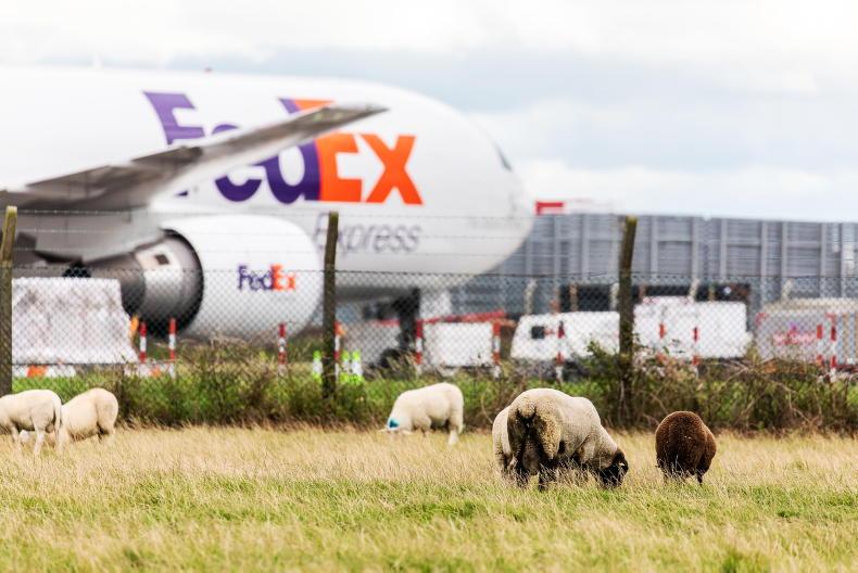 Airports and cement plants Ireland's top polluters 10 November 2022 Free - Vimarsana News