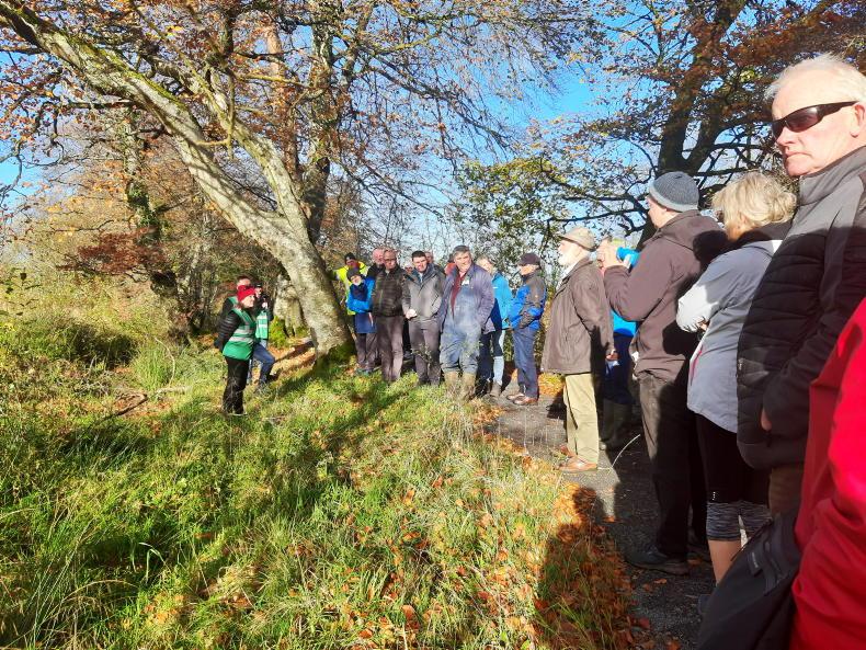 Licensing timelines and carbon ownership the challenges in forestry - Vimarsana News