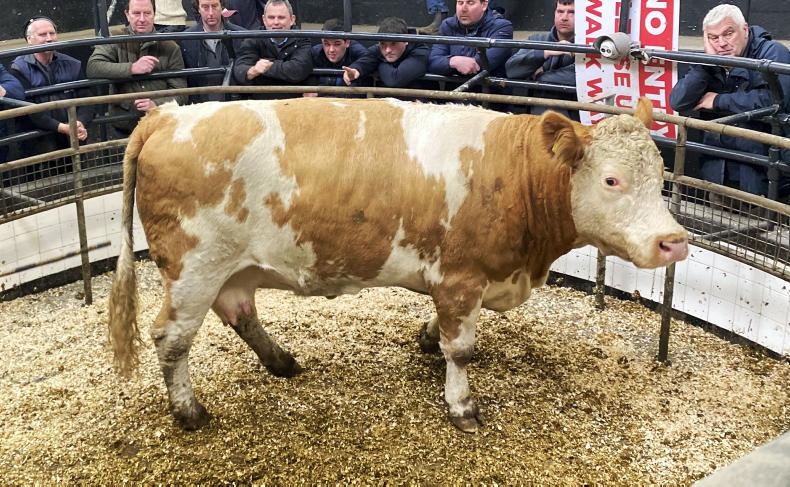 Camera at the Mart: farmers, feeders and factories make for steady trade - Vimarsana News