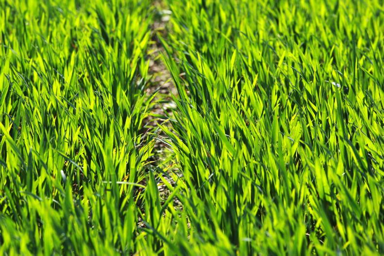 Tillage podcast highlights from the year gone by - Vimarsana News