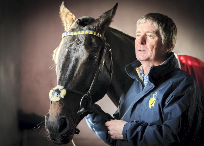 Reputations on the line at Fairyhouse - Vimarsana News