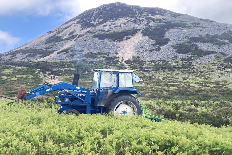 Wicklow SUAS: farmers at the 'heart' of habitat improvements 23 November 2022 Premium - Vimarsana News
