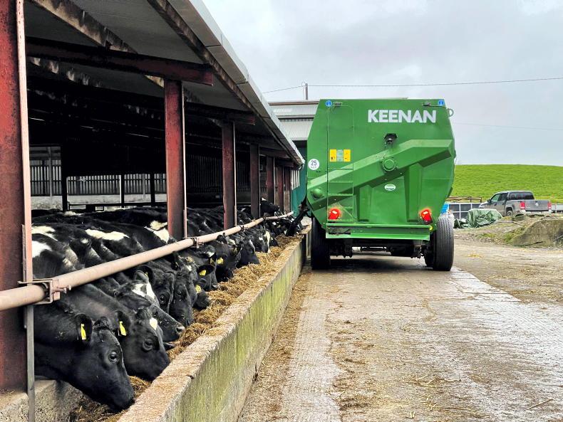Dairy management: what weight should maiden heifers be now? - Vimarsana News