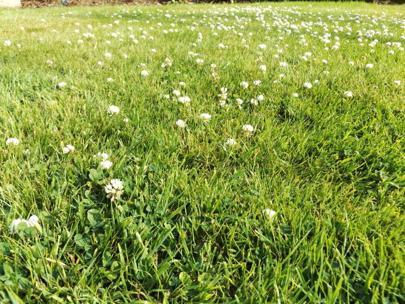 Establishing an emissions baseline on farms to work to reduce those emissions - Vimarsana News