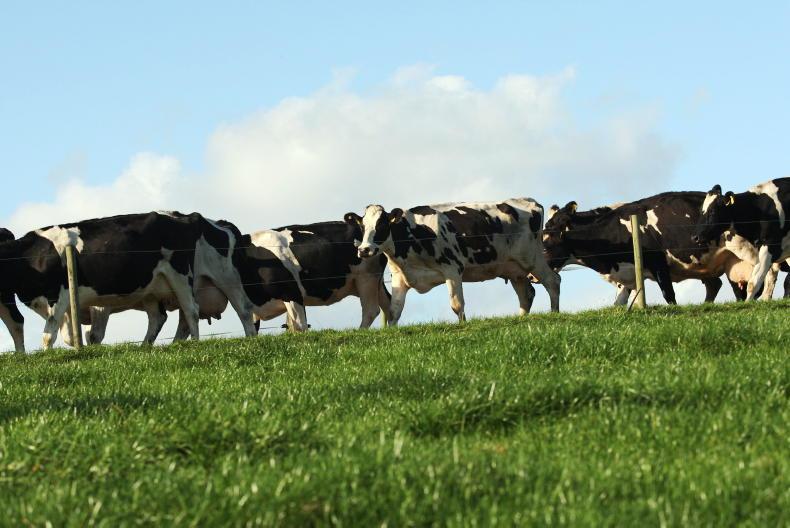 Sustainability credentials a 'licence to supply' dairy buyers 01 December 2022 Free - Vimarsana News