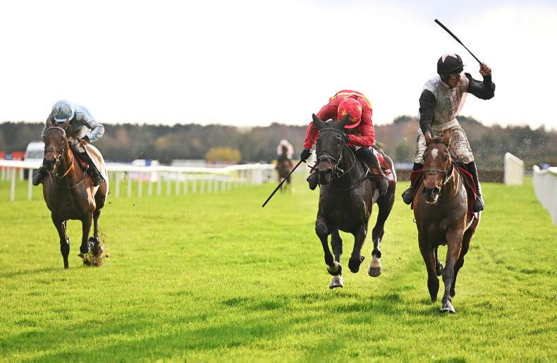 Honeysuckle deserves the chance to come back Free