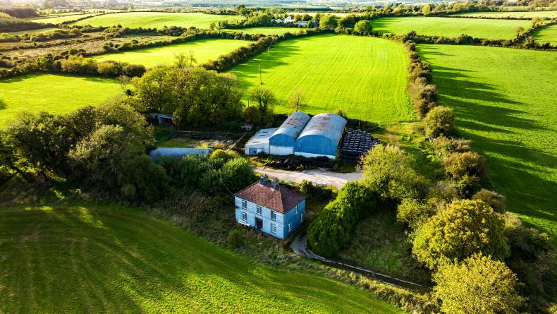 103ac farm catching eyes in Cork - Vimarsana News