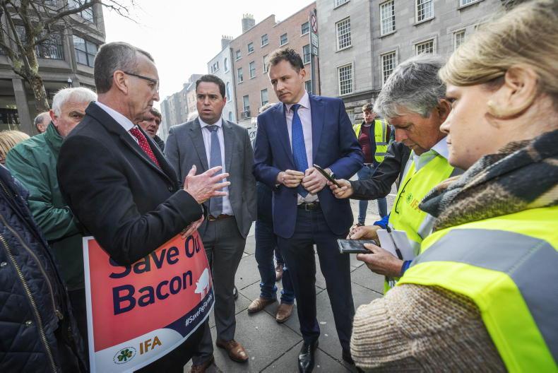 IFA: a year in review                      