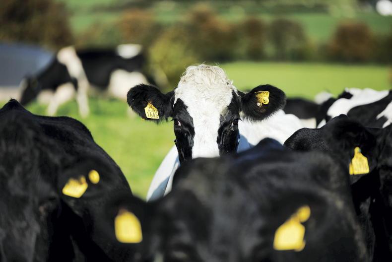 Nitrates - broad brushstroke stocking rate ill-judged - Vimarsana News