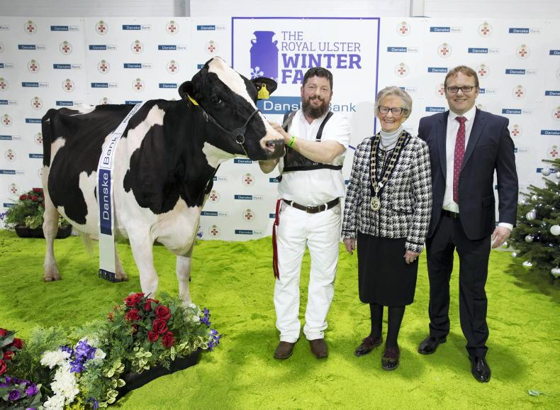 Festive cheer at the 36th Royal Ulster Winter Fair Free