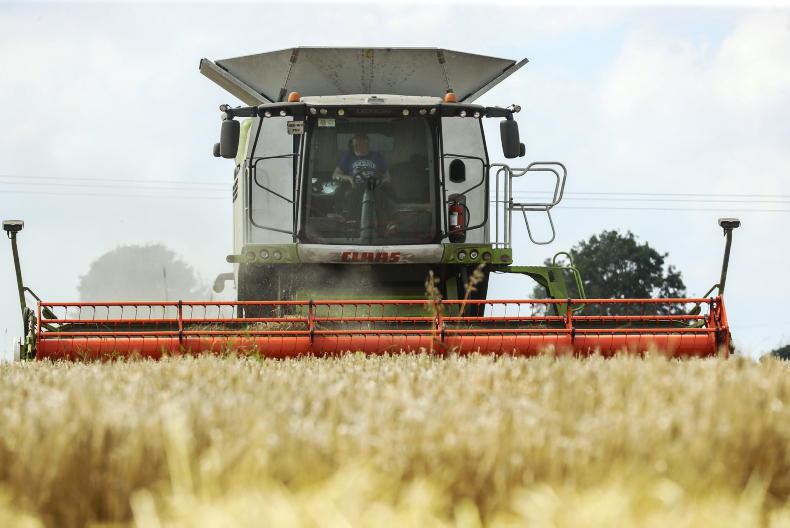 Tillage farm incomes to almost halve in 2023 – Teagasc - Vimarsana News