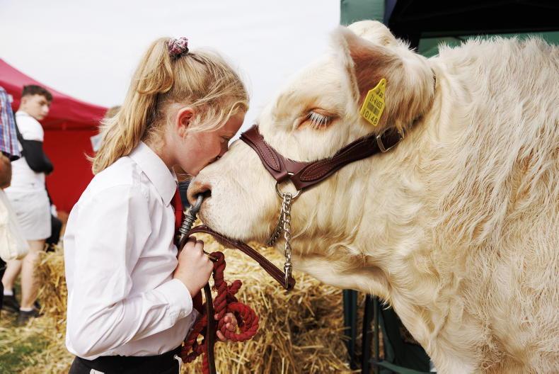 In pictures: summer show season back with a bang - Vimarsana News