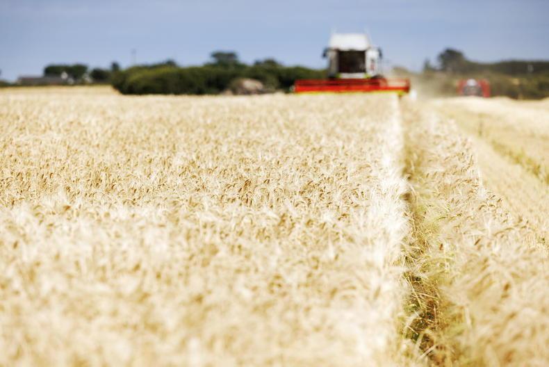 Tillage podcast: 2022 from heatwaves to high prices - Vimarsana News