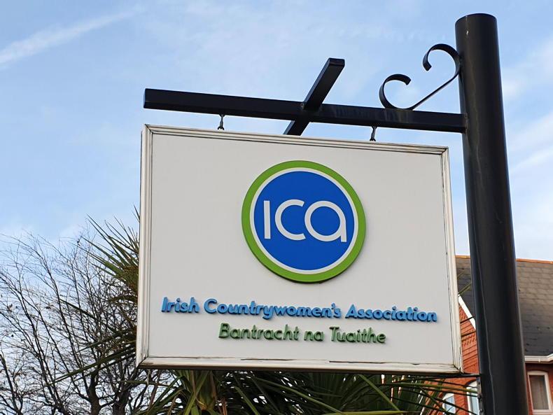 Many ICA members 'incensed and heartbroken' - former president