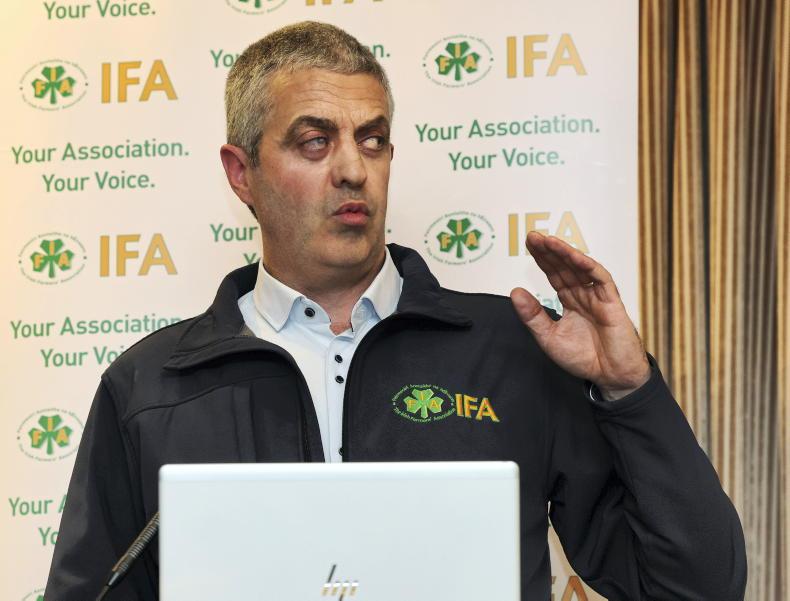 IFA welcome Bord Bia's commitment to Chinese beef promotions - Vimarsana News