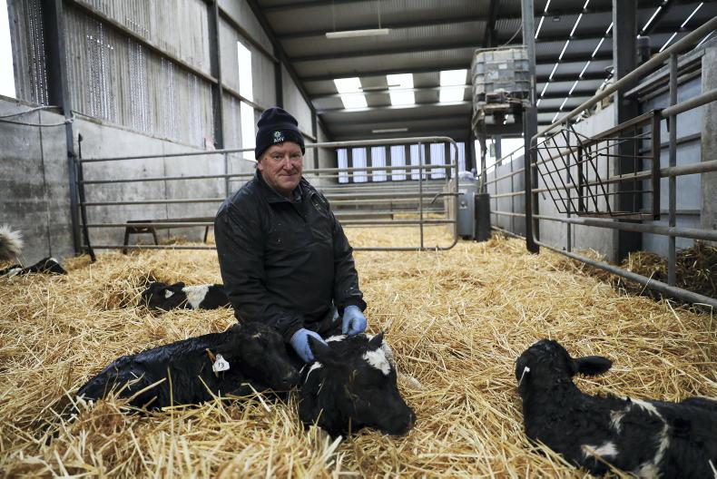 My Farming Week: Ger Pardy, Killaun, Birr, Co Offaly - Vimarsana News