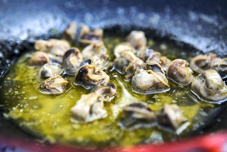 Think snail farming is a get-rich-quick scheme? Think again - Vimarsana News