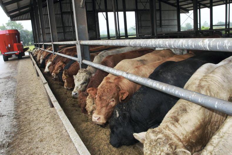 NI Trends: prime cattle quotes push on to 450p/kg; hogget prices under pressure - Vimarsana News