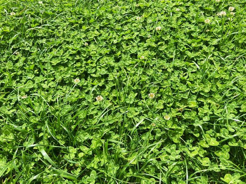 The power of planning - cutting costs in Carrigmore - Vimarsana News