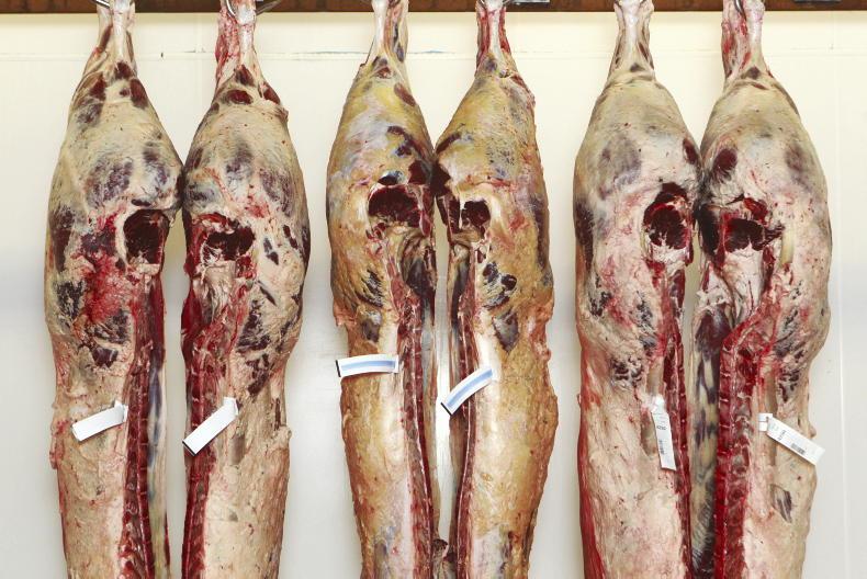 Beef prices: trade remains in positive position - Vimarsana News