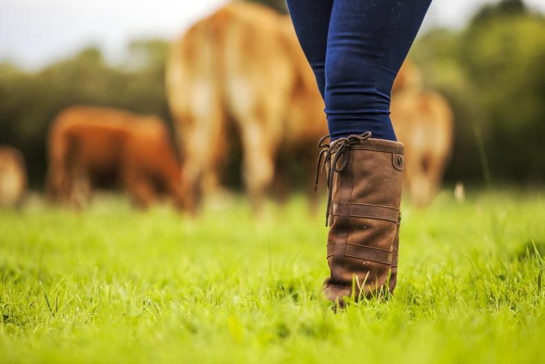 Ongoing research to find a path to more female farm ownership
