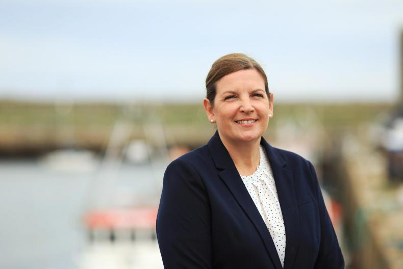 New BIM CEO makes a splash                          