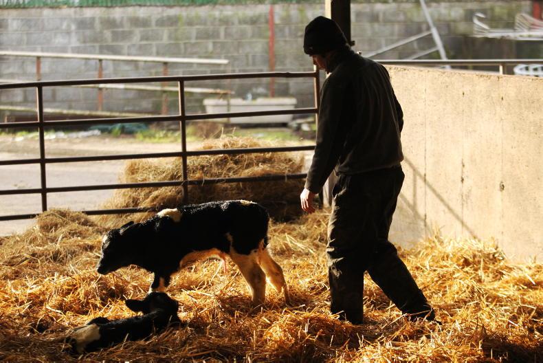Farmer Writes: taking advantage of good ground conditions - Vimarsana News