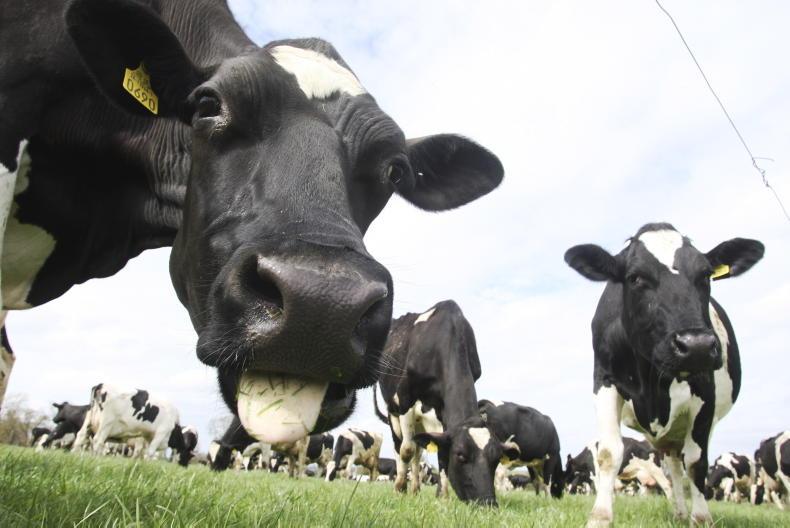 Reader photos: share your photos and videos of grazing 2023