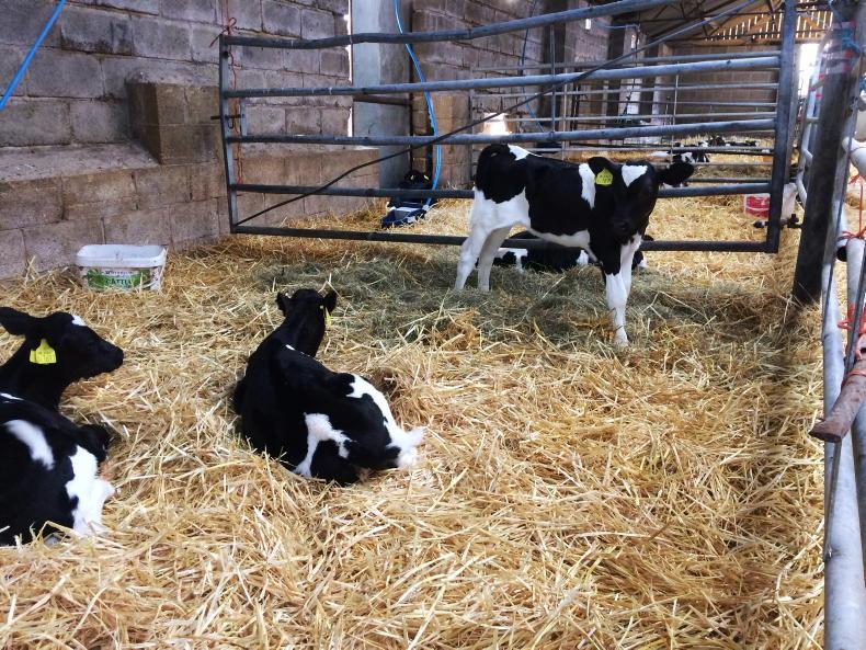 Farmer Writes: lots of take-home's from Dairy-Tech at Stoneleigh Park - Vimarsana News