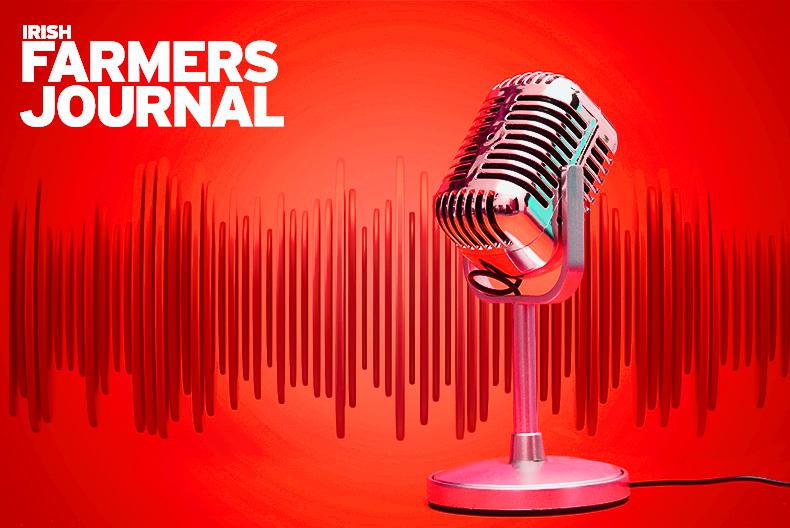 Weekly Podcast: weanling prices, dairy outlook and beef emissions - Vimarsana News