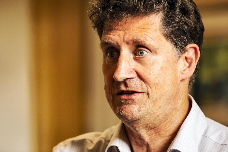 Ireland almost half way towards rewetting target - Ryan - Vimarsana News