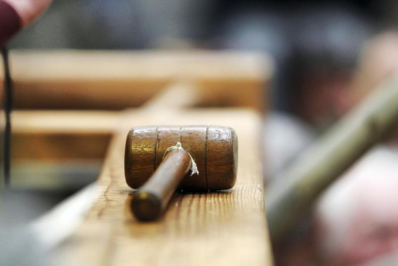 Land Price growth at 10-year high, Sherry Fitzgerald report finds 