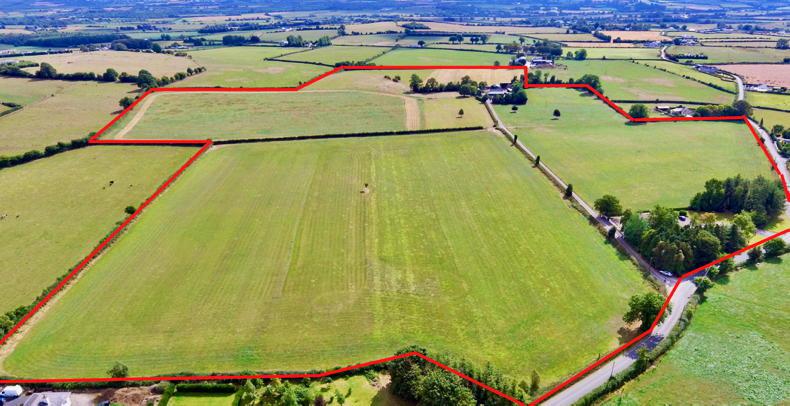 Average price down 8% in Laois - Vimarsana News