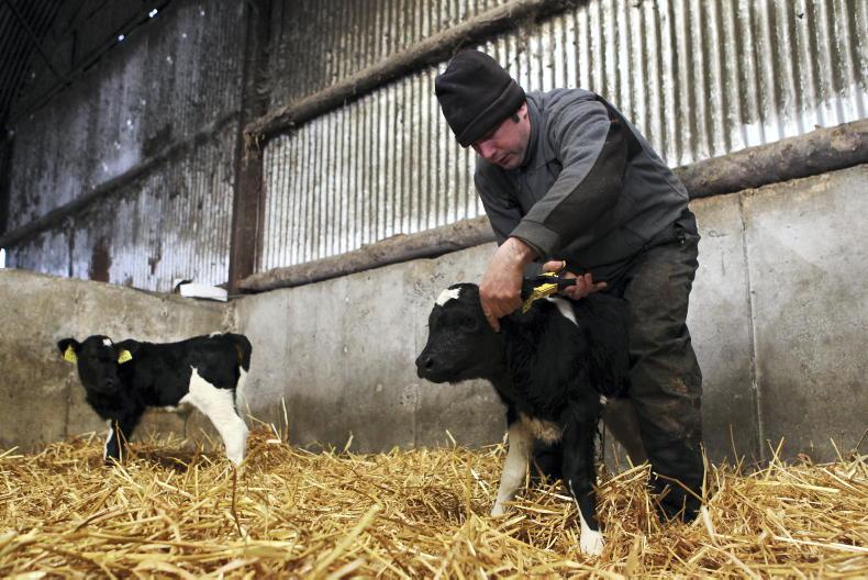 Farmer Writes: Milk prices falling faster than inputs - Vimarsana News